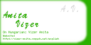 anita vizer business card